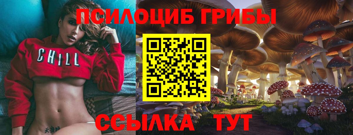 Галлюциногенные грибы Magic Shrooms Менделеевск