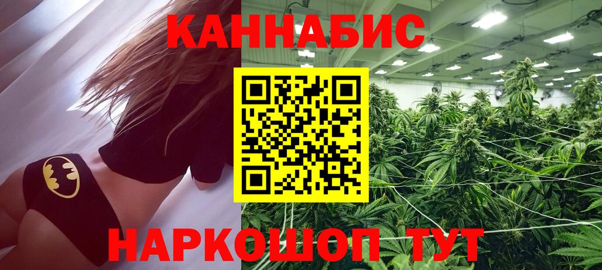 Конопля планчик Менделеевск